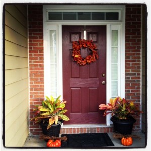 2013 Fall Door