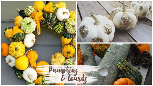 Decorating with Natural Elements - Pumpkins Gourds